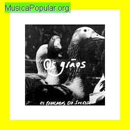 Os Paralamas do Sucesso