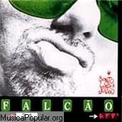 Falc&atilde;o
