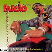 Falc&atilde;o