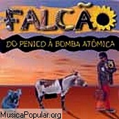 Falc&atilde;o